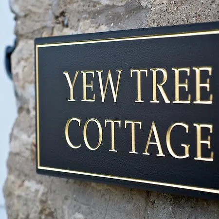 Lantställe Stunning Yew Tree *