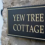 Casa de Campo Stunning Yew Tree *