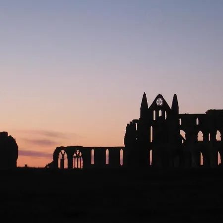 斯达林紫杉树乡村民宿 *