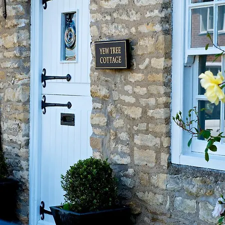 Country house Stunning Yew Tree *