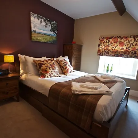 Country house Stunning Yew Tree