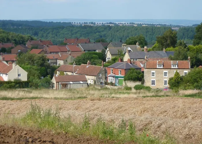 Stunning Yew Tree * Westow