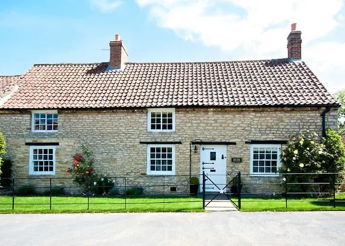 Stunning Yew Tree Westow