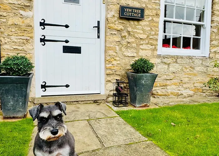 Country house Stunning Yew Tree