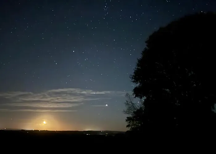 Country house Stunning Yew Tree Westow