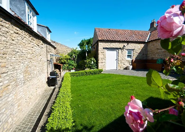 Country house Stunning Yew Tree *