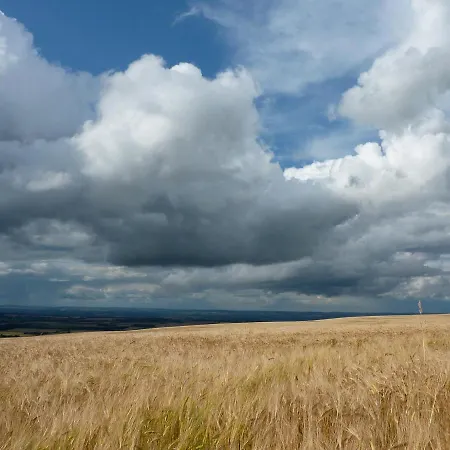 乡村民宿 斯达林紫杉树乡村民宿 Westow