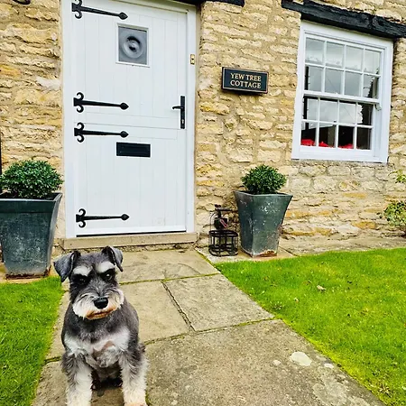 乡村民宿 斯达林紫杉树乡村民宿