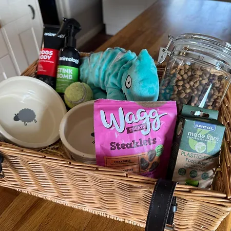 斯达林紫杉树乡村民宿 乡村民宿 *