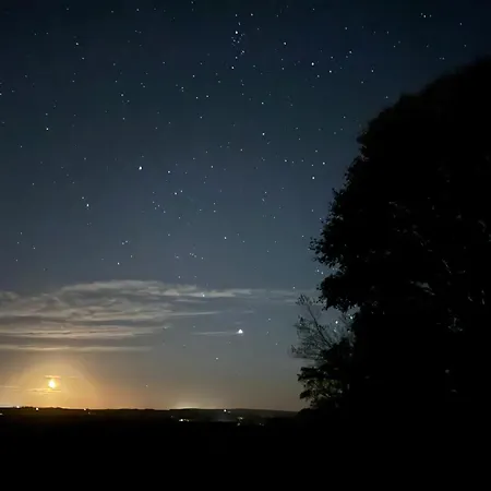 乡村民宿 斯达林紫杉树乡村民宿 Westow