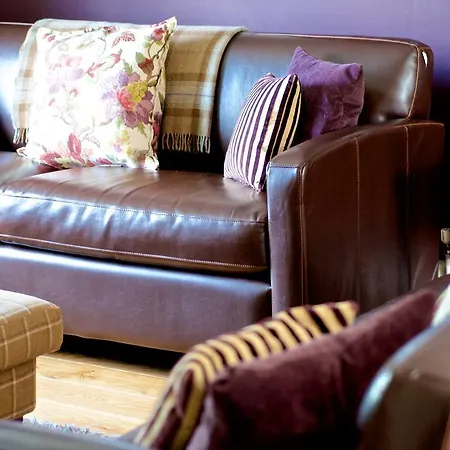 乡村民宿 斯达林紫杉树乡村民宿