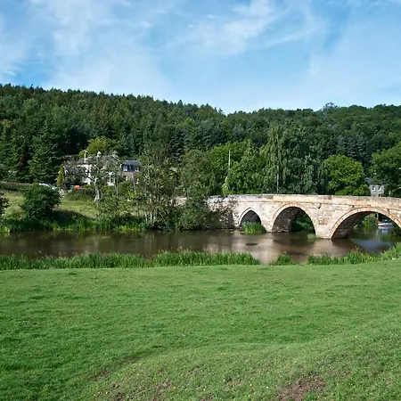 斯达林紫杉树乡村民宿