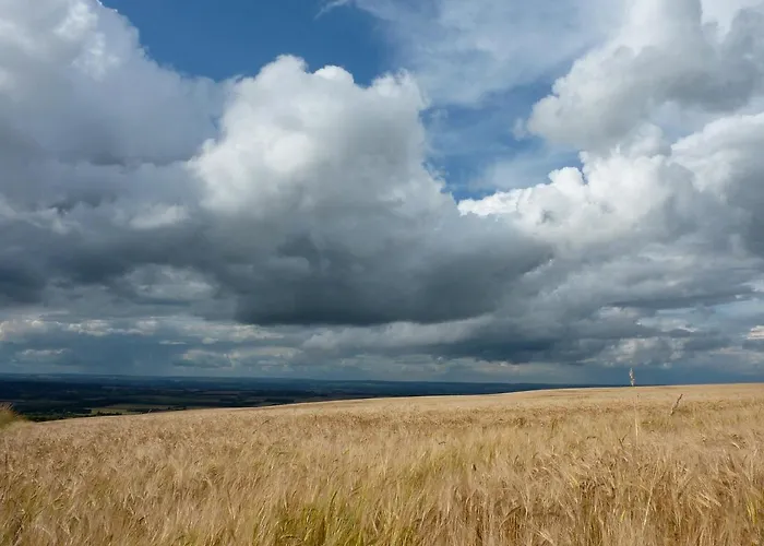 Country house Stunning Yew Tree Westow