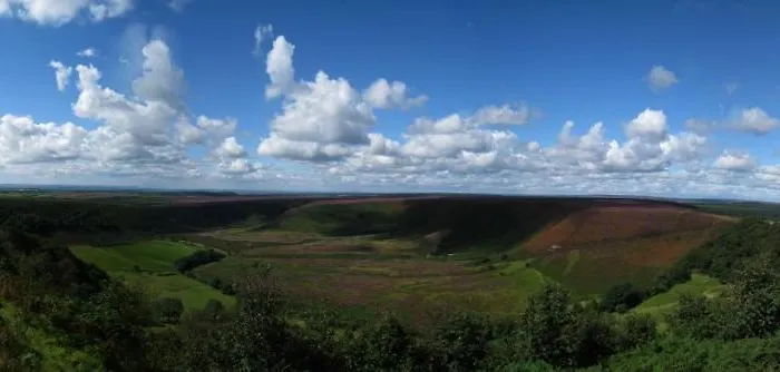 Country house Stunning Yew Tree Westow