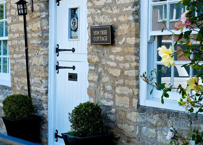 Country house Stunning Yew Tree *