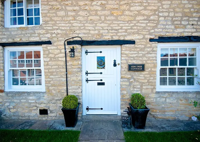 Stunning Yew Tree Westow