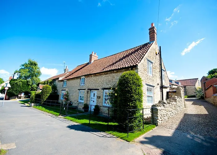 Country house Stunning Yew Tree *