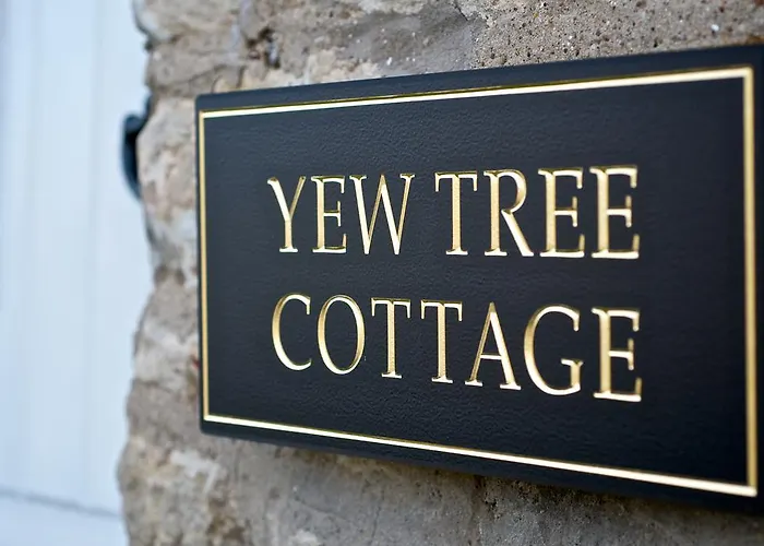 Country house Stunning Yew Tree *